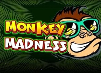monkey madness игровой автомат pragmatic